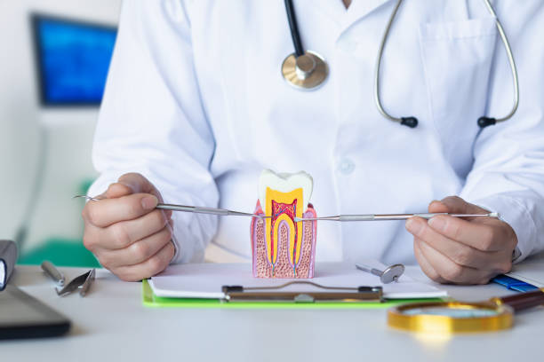 Best Cracked Tooth Emergency Dentist  in South Pittsburg, TN